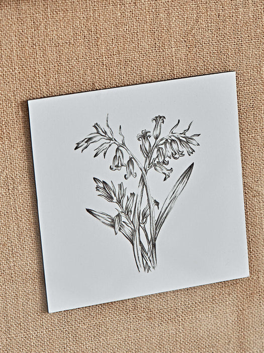 Three Botanical Sketched Prints