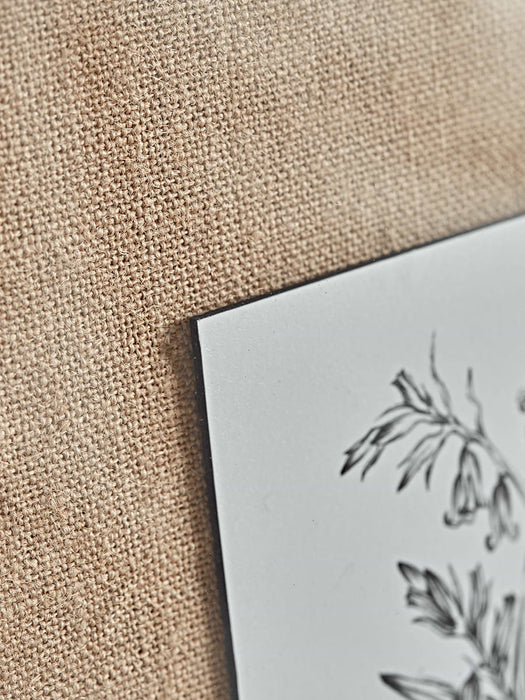 Three Botanical Sketched Prints