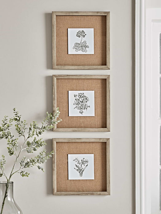 Three Botanical Sketched Prints