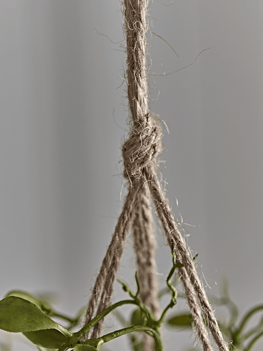 Hanging Potted Faux String of Nickels