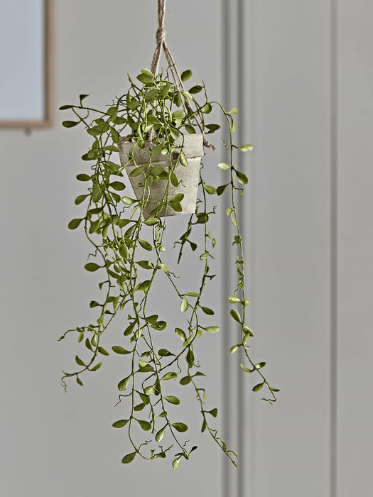 Hanging Potted Faux String of Nickels