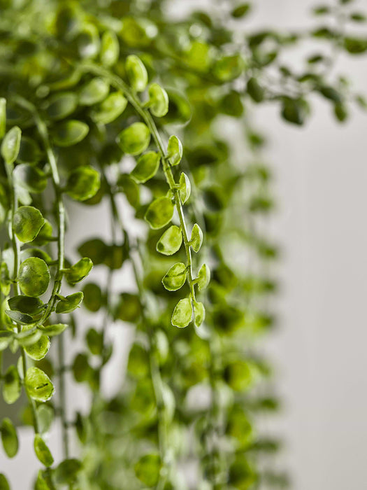 Hanging Potted Faux String of Pearls