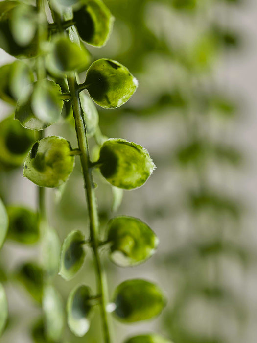 Hanging Potted Faux String of Pearls