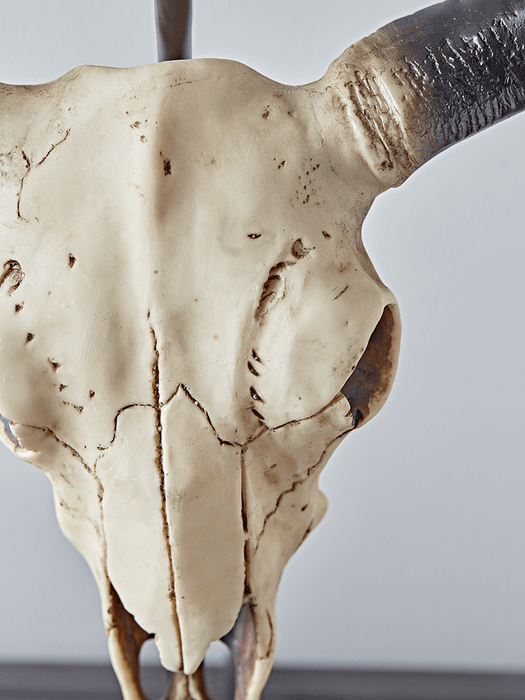 Faux Skull Table Lamp