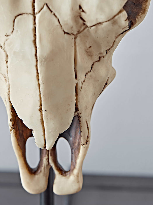 Faux Skull Table Lamp