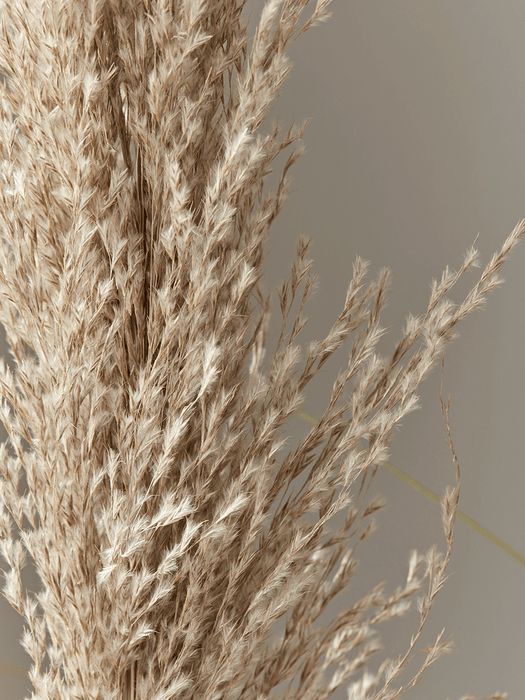 Faux Potted Pampas Grass