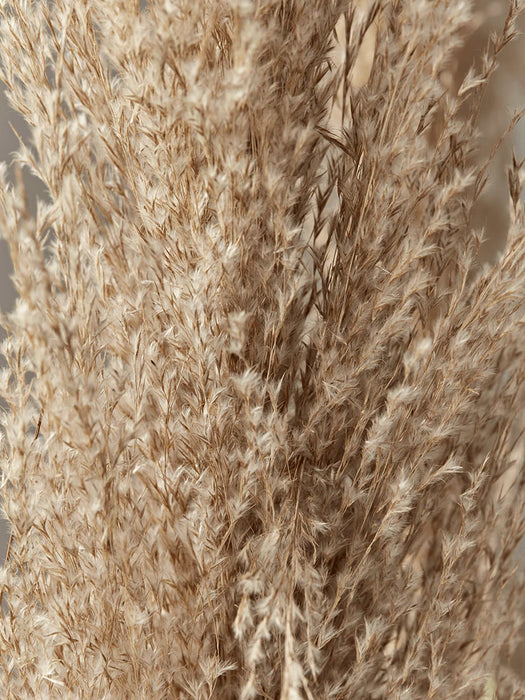 Faux Potted Pampas Grass