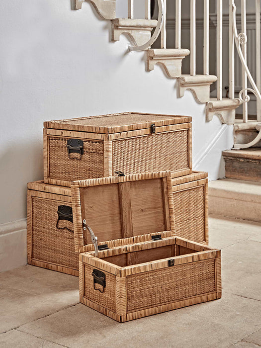 Three Cane Trunks