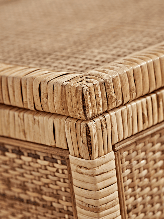 Three Cane Trunks