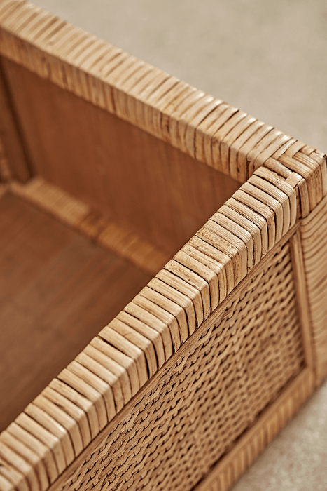 Three Cane Trunks