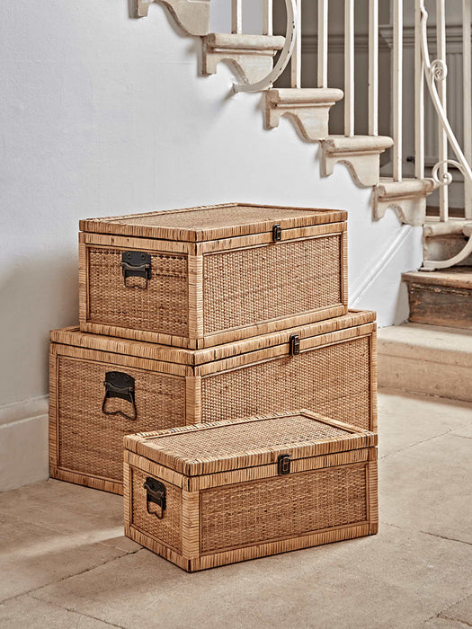 Three Cane Trunks
