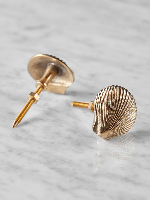 Two Solid Brass Shell Knobs