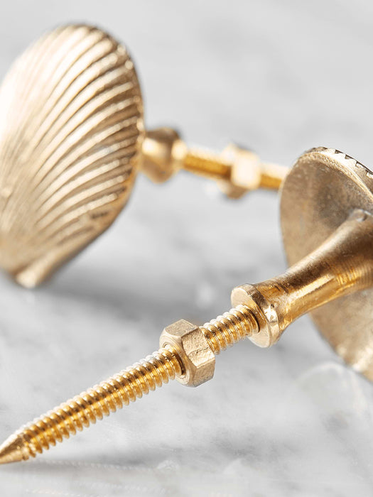 Two Solid Brass Shell Knobs