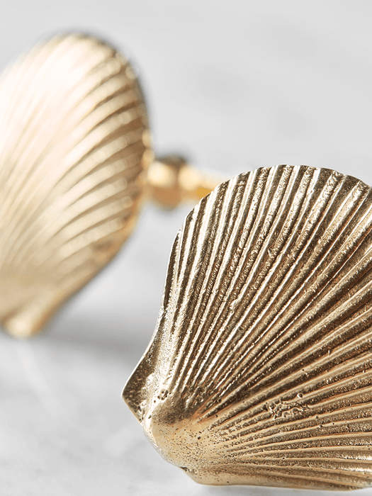 Two Solid Brass Shell Knobs