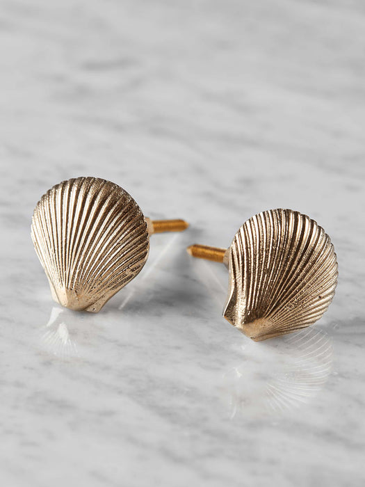 Two Solid Brass Shell Knobs
