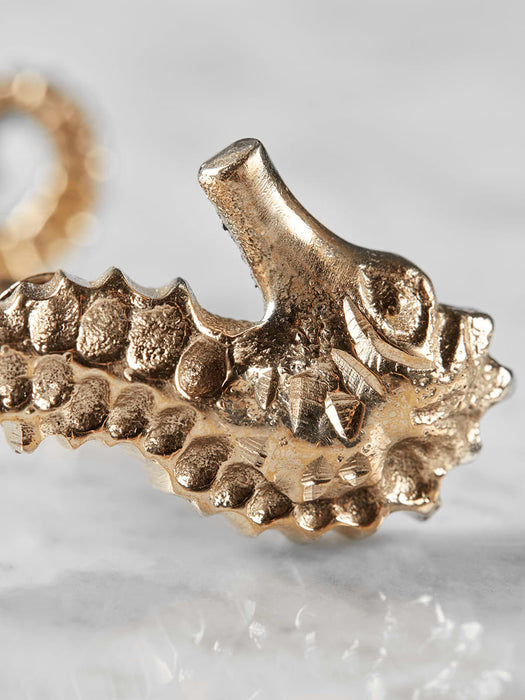 Two Solid Brass Seahorse Knobs