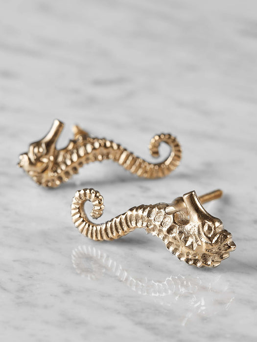 Two Solid Brass Seahorse Knobs