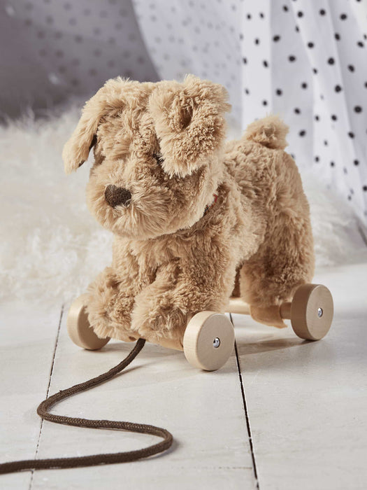 Pull Along Puppy