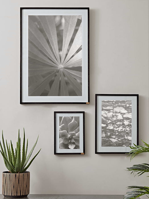 Black Oak Picture Frame - Small
