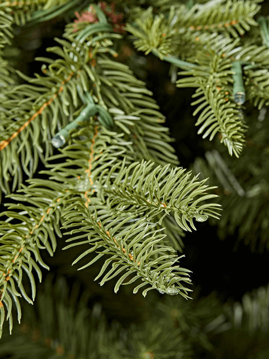 Aspen Mountain Spruce Christmas Tree