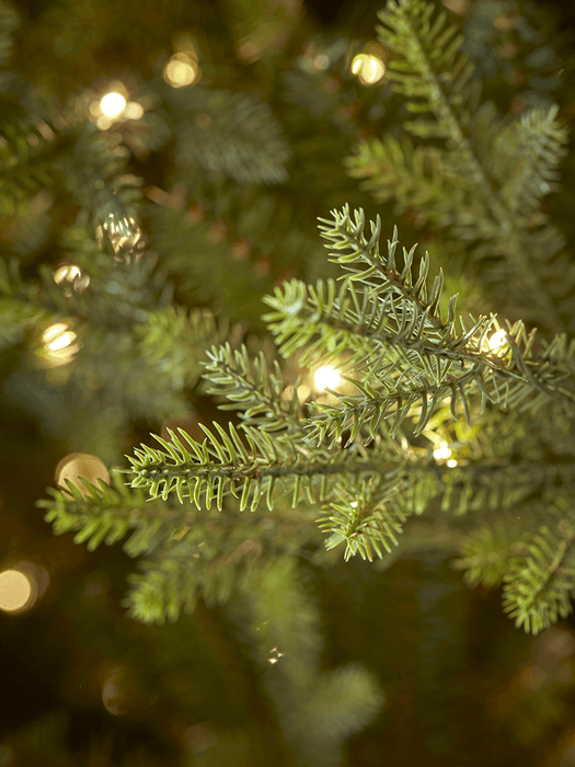 The Ultimate Pre-Lit Christmas Tree - Green