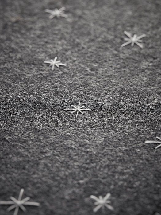 Six Felt Place Mats