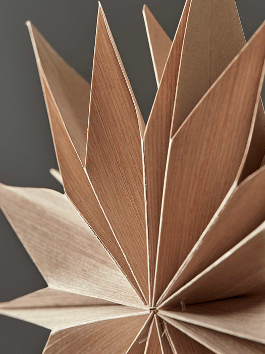 Two Paper Stars