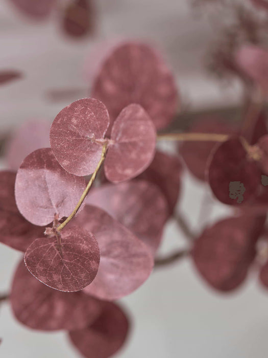 Eucalyptus Garland - Burgundy