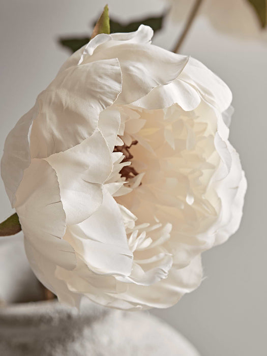 Three Faux Peony Stems - Cream