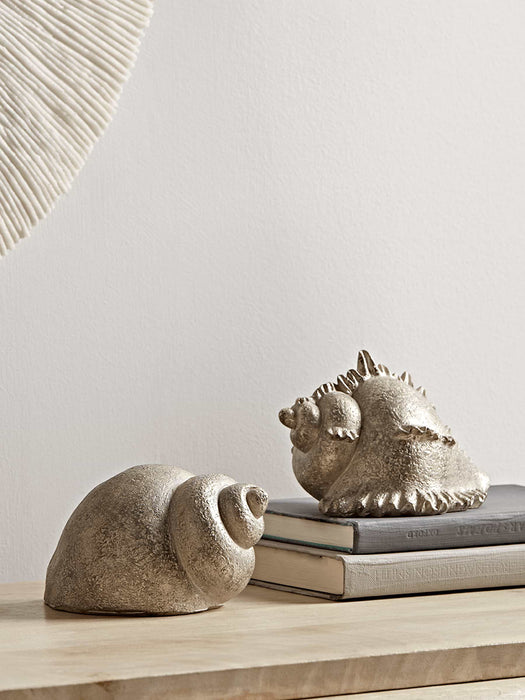 Two Seashells