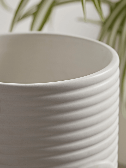 Two White Ribbed Planters