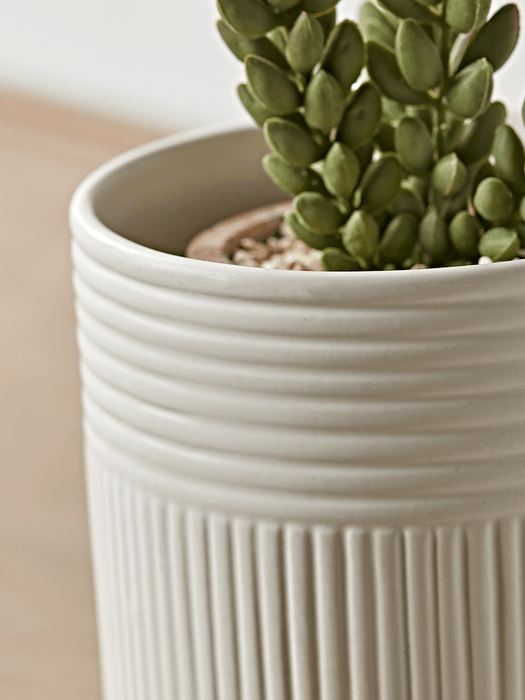 Two White Ribbed Planters