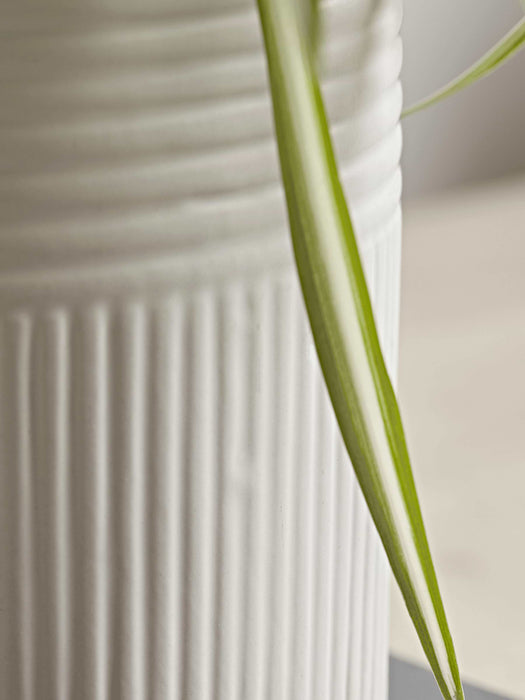 Two White Ribbed Planters