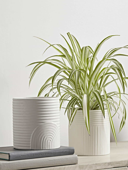 Two White Ribbed Planters