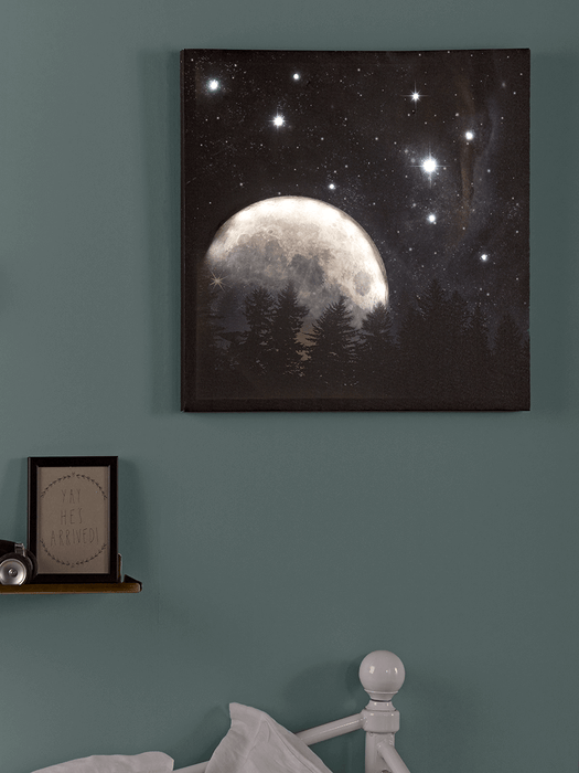 Twinkle Light Up Galaxy Canvas