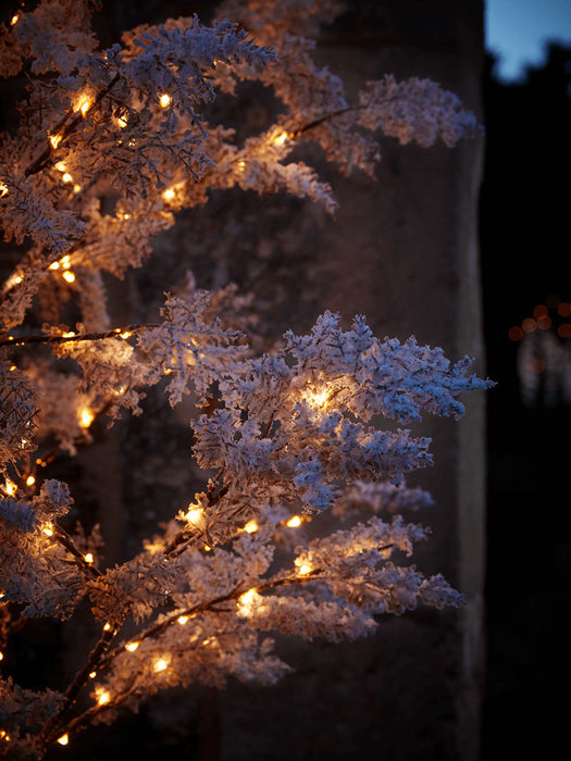 Indoor Outdoor Large Light Up Blossom Tree - Soft White