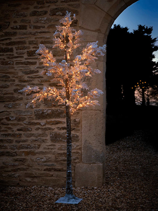 Indoor Outdoor Large Light Up Blossom Tree - Soft White