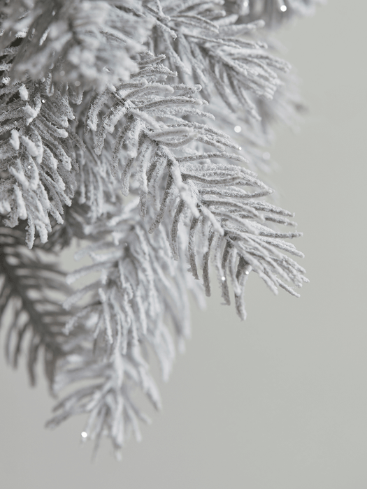 Frosted Fir Wreath