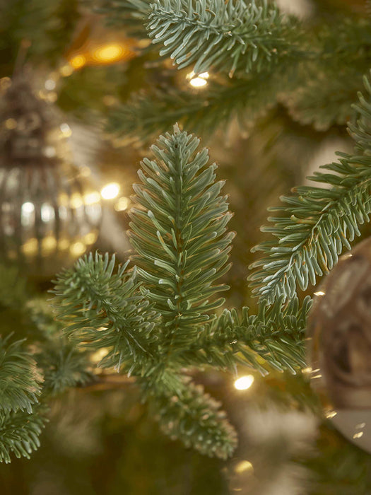 Fabulously Full Fir Tree