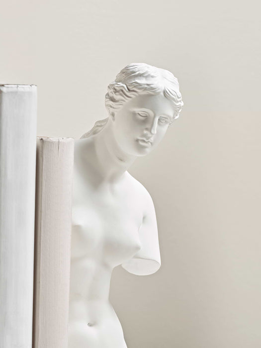 Venus Bust Bookends