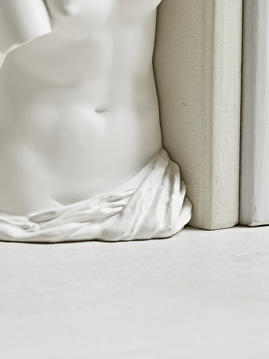 Venus Bust Bookends