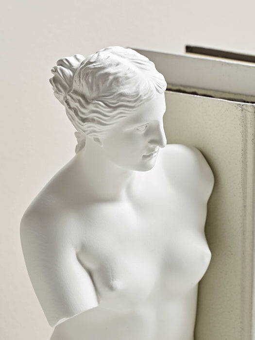 Venus Bust Bookends