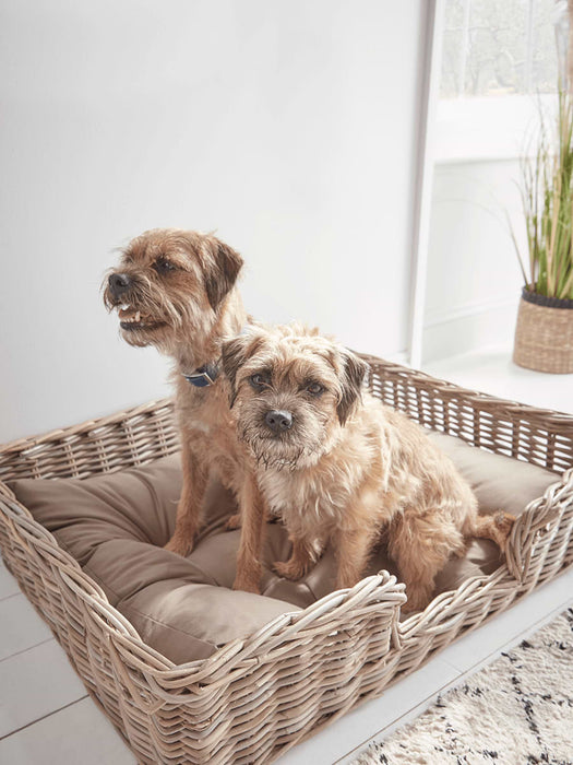 Wicker Pet Basket