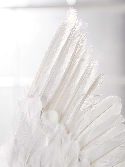 Angel Wings