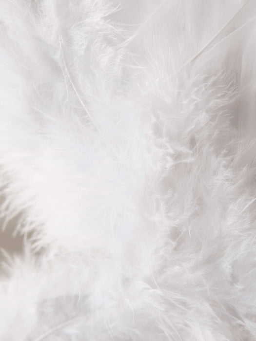 Angel Wings