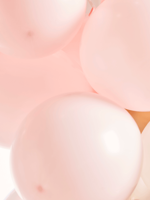 Balloon Arch Kit - Blush Mix