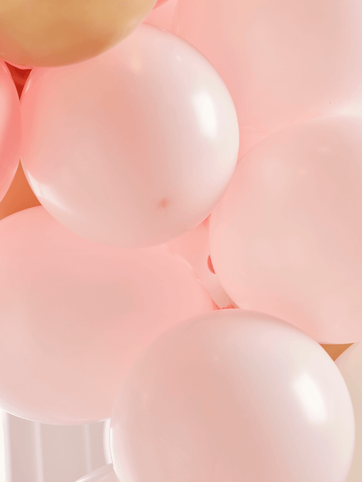 Balloon Arch Kit - Blush Mix
