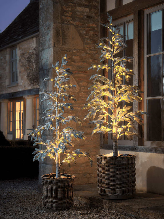 Indoor Outdoor Light Up Alpine Fir Tree - Small