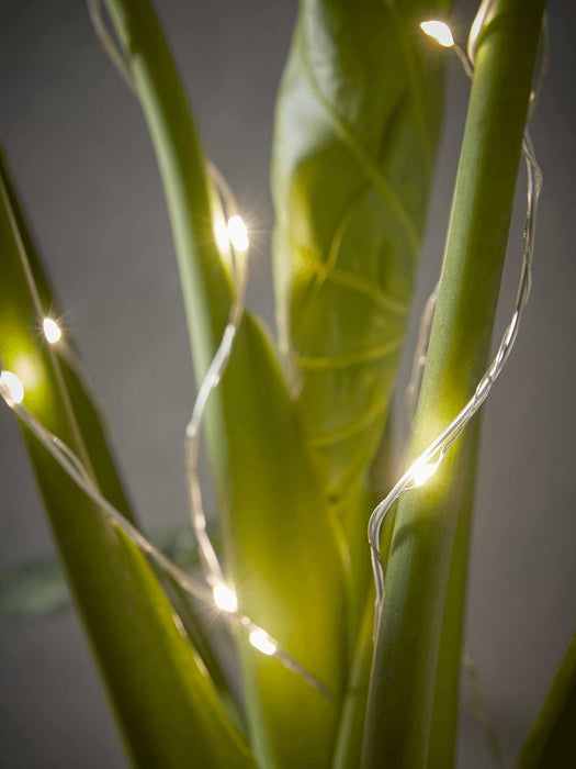 Magical Outdoor Naked Wire Plant Light