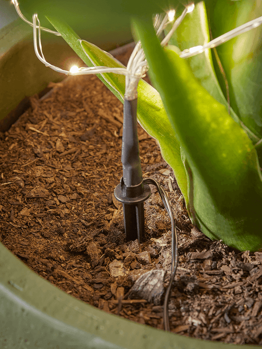 Magical Outdoor Naked Wire Plant Light